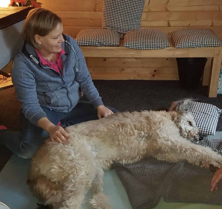 Tierphysiotherapie für Hunde und Katzen Solingen Svenja Hellmann Thera